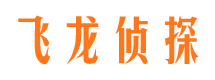 上甘岭市私家侦探